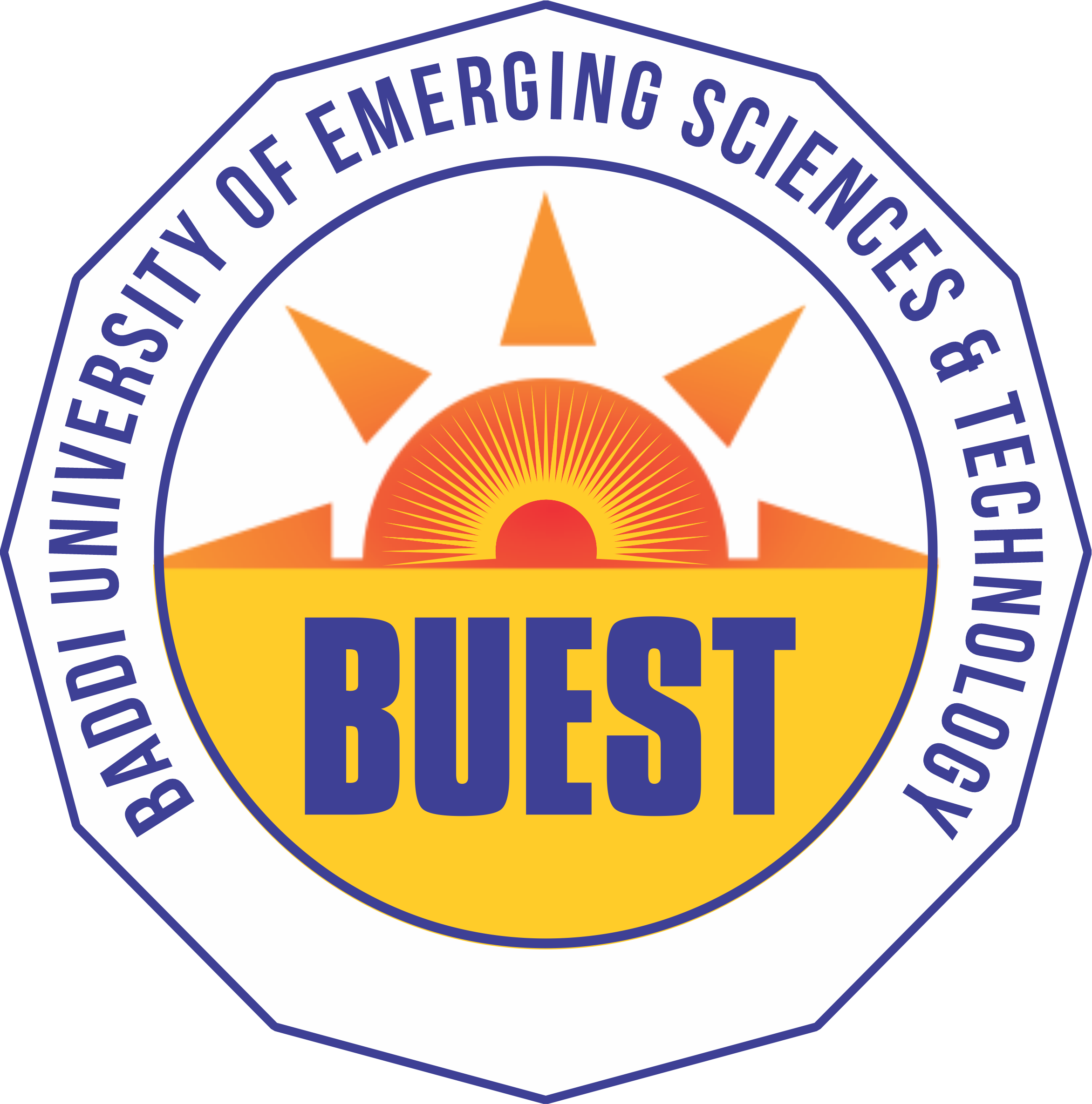 Baddi University of Emerging Sciences and Technology Logo