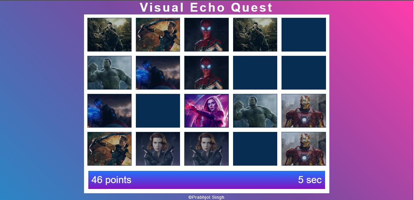 Visual Echo Quest